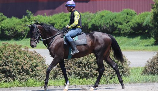 2024年9月28日、9月29日出走馬