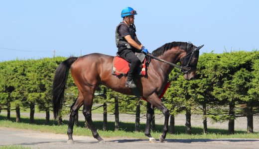 2年振りの重賞タイトル獲得