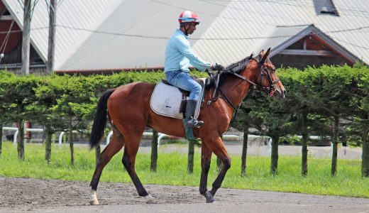 広尾レース～25年8月～