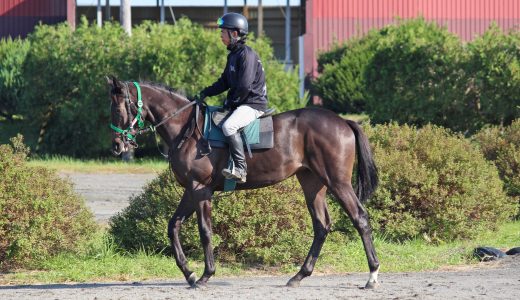 ローレルクラブ～25年10月～