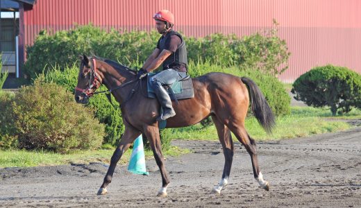 広尾レース～25年10月～