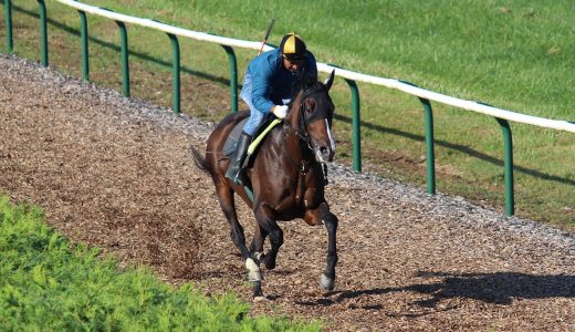 2025年10月25日、10月26日出走馬