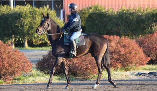 ローレルクラブ～25年11月～