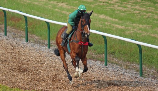 2025年11月8日、11月9日出走馬
