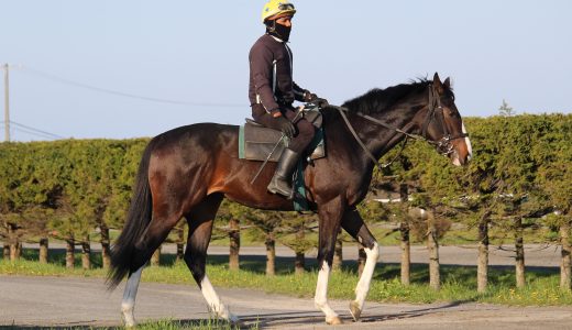 2025年11月22日、11月23日、11月24日出走馬