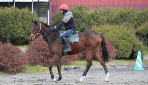 広尾レース～25年11月～