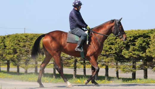 2025年11月15日、11月16日出走馬