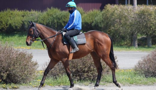 2025年11月29日、11月30日出走馬