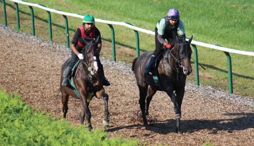 2025年12月6日、12月7日出走馬