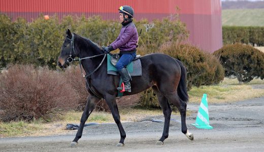 ローレルクラブ～25年12月～