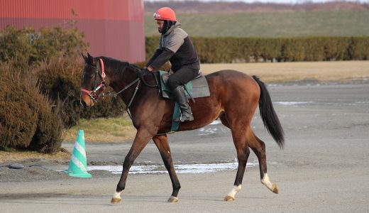 広尾レース～25年12月～