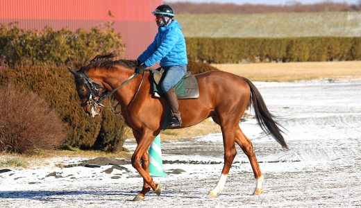 友駿HC～25年12月～