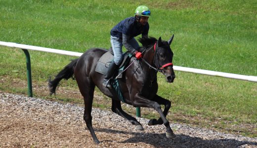 2025年12月13日、12月14日出走馬