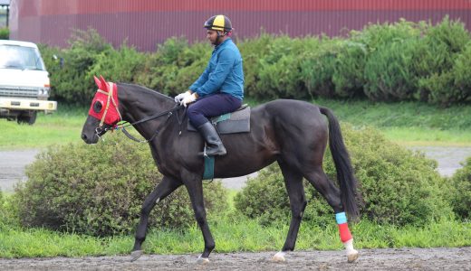 2025年12月27日、12月28日出走馬