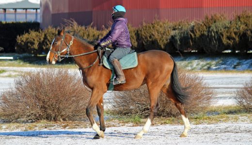 DMMドリームC～25年12月～