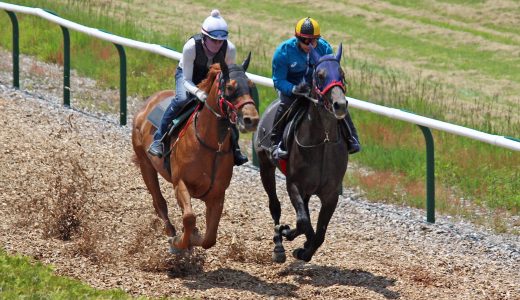 2025年12月20日、12月21日出走馬