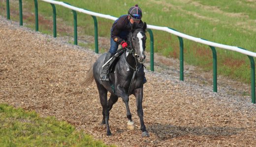 2026年1月10日、1月11日、1月12日出走馬