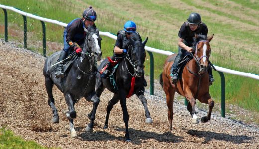 2026年1月4日、1月5日出走馬