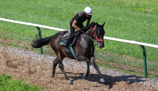 2026年1月24日、1月25日出走馬