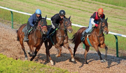 2026年1月17日、1月18日出走馬