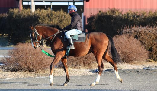 DMMドリームC～26年1月～