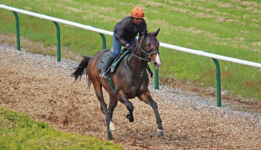 2026年2月14日、2月15日出走馬