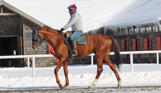 友駿HC～26年2月～