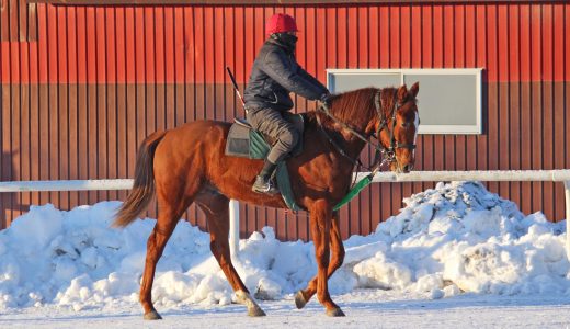 広尾レース～26年2月～