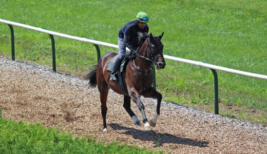 2026年2月7日、2月8日出走馬