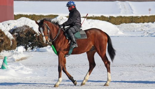 DMMドリームC～26年2月～