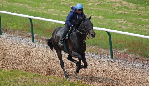 2026年2月21日、2月22日出走馬