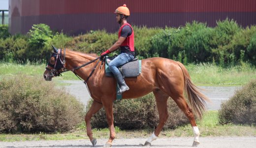 2026年3月7日、3月8日出走馬