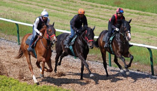 2026年3月14日、3月15日出走馬