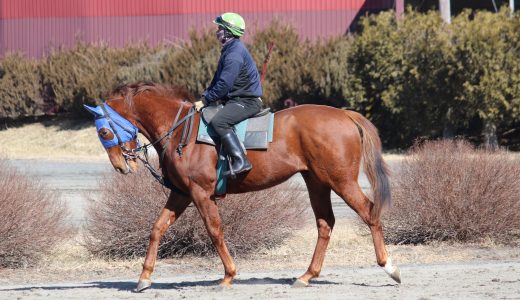 広尾レース～26年3月～