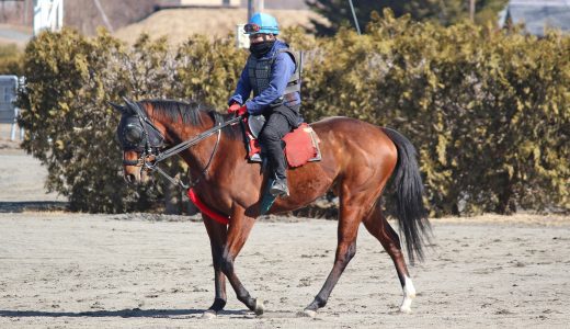 東京TC～26年3月～